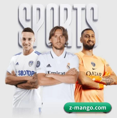 芒果体育 APP | MANGO SPORTS